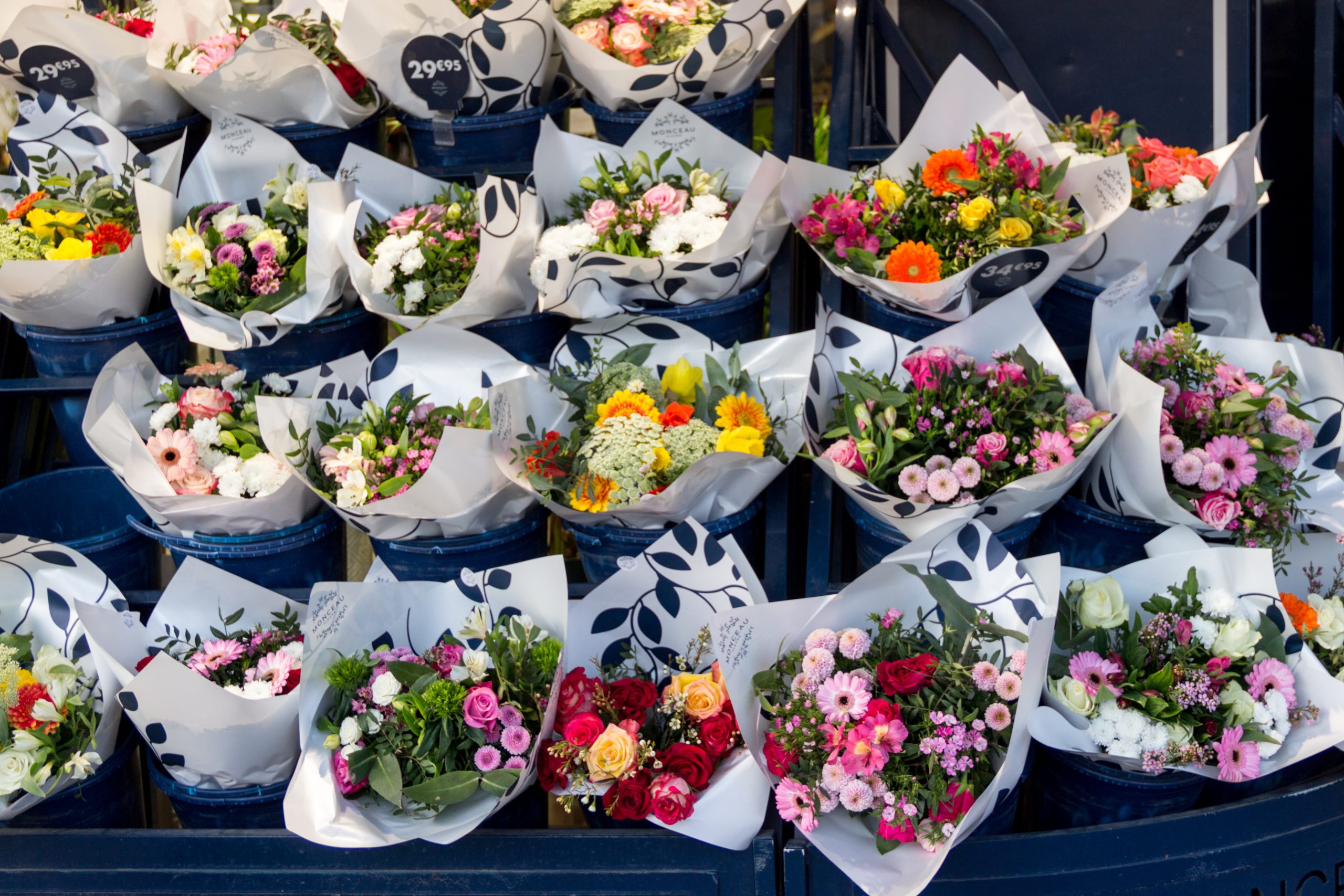 Vendita fiori recisi Perugia