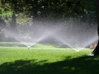 Articoli per il giardinaggio